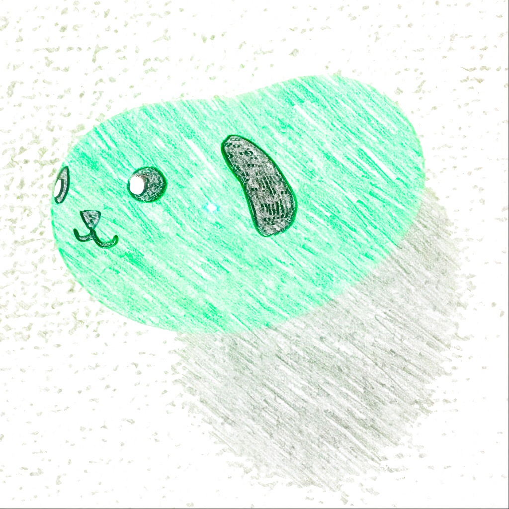 豆しば