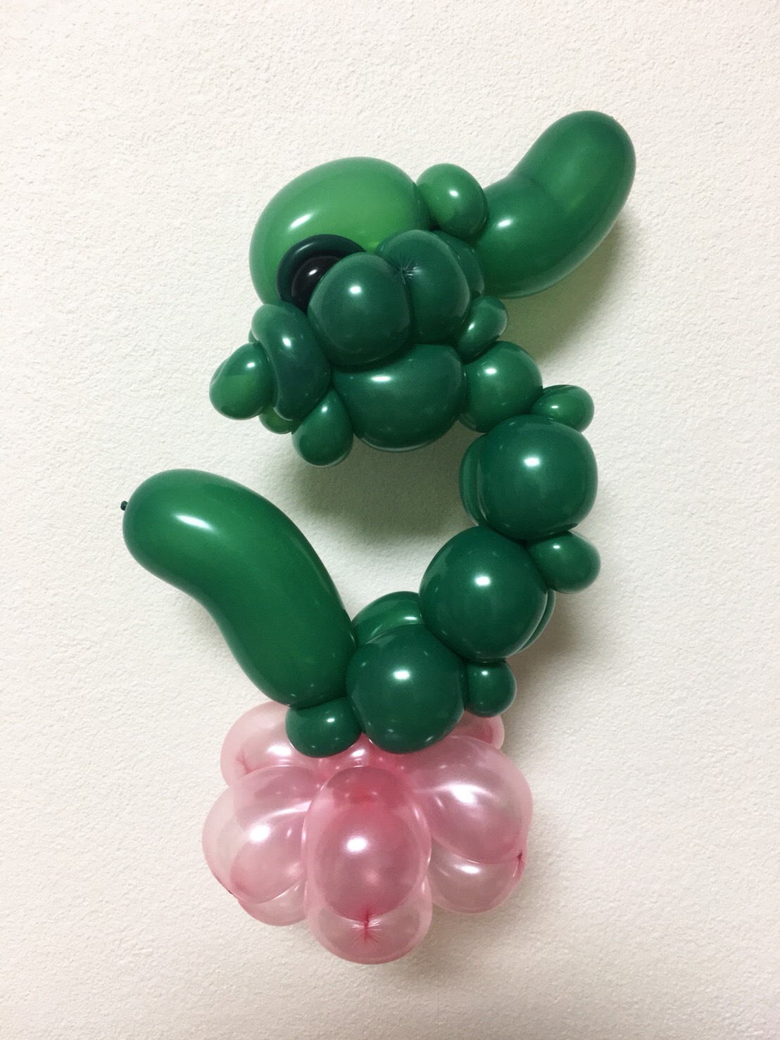 龍の子