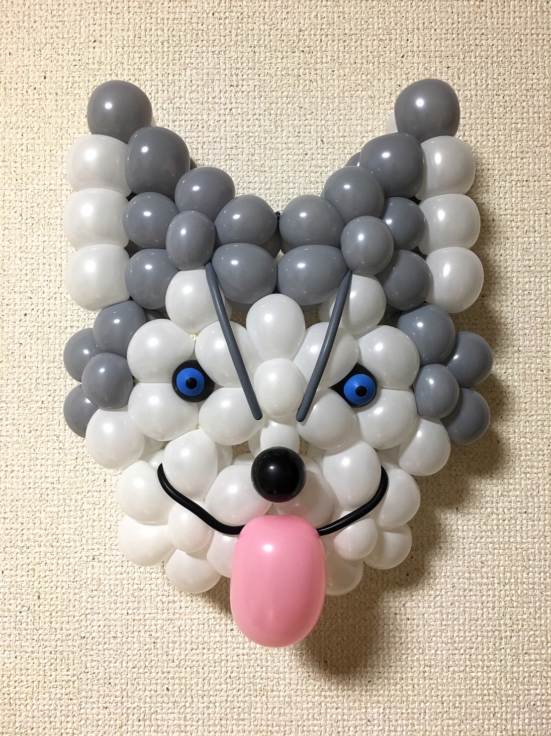 シベリアンハスキー