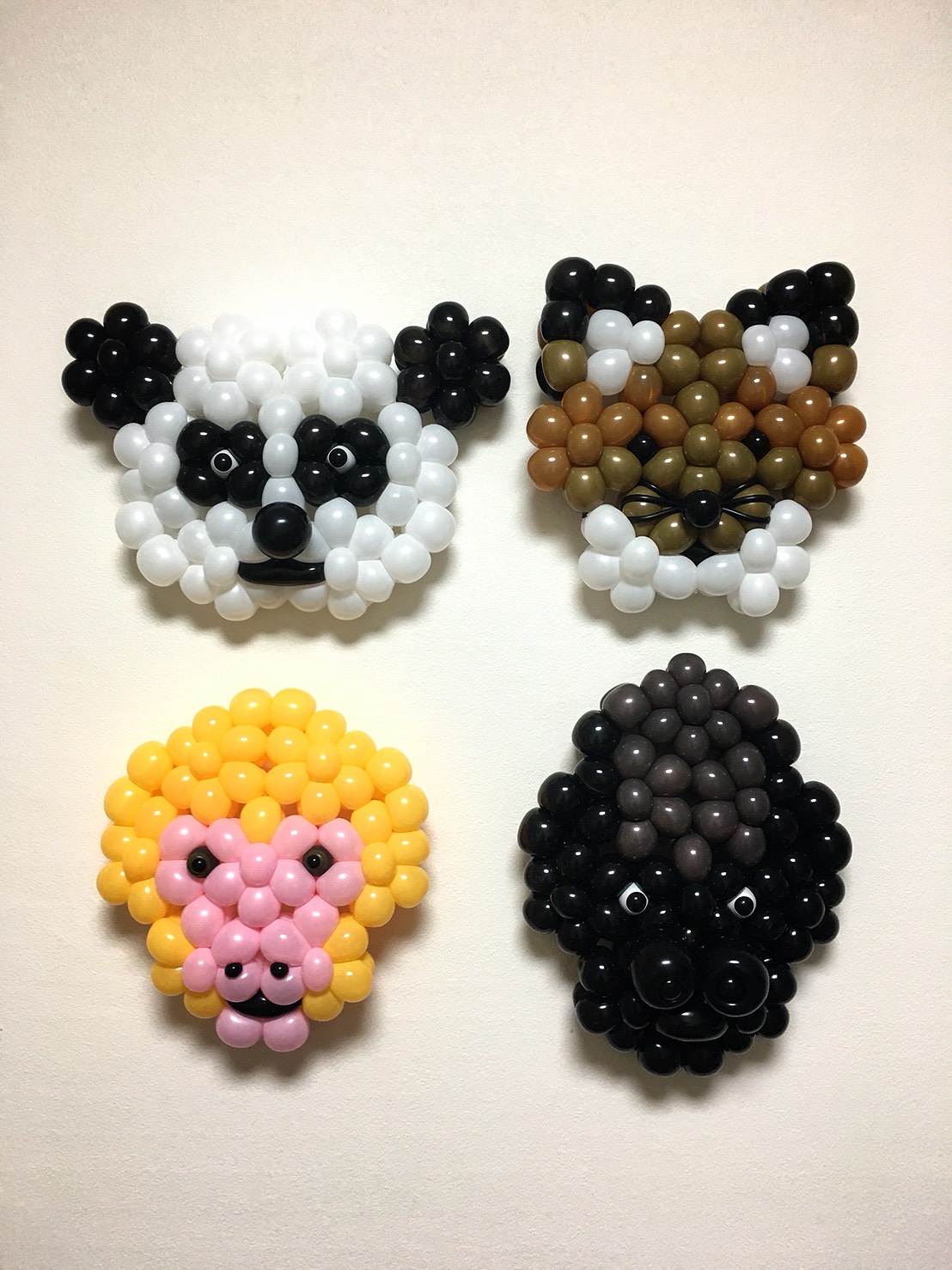 動物