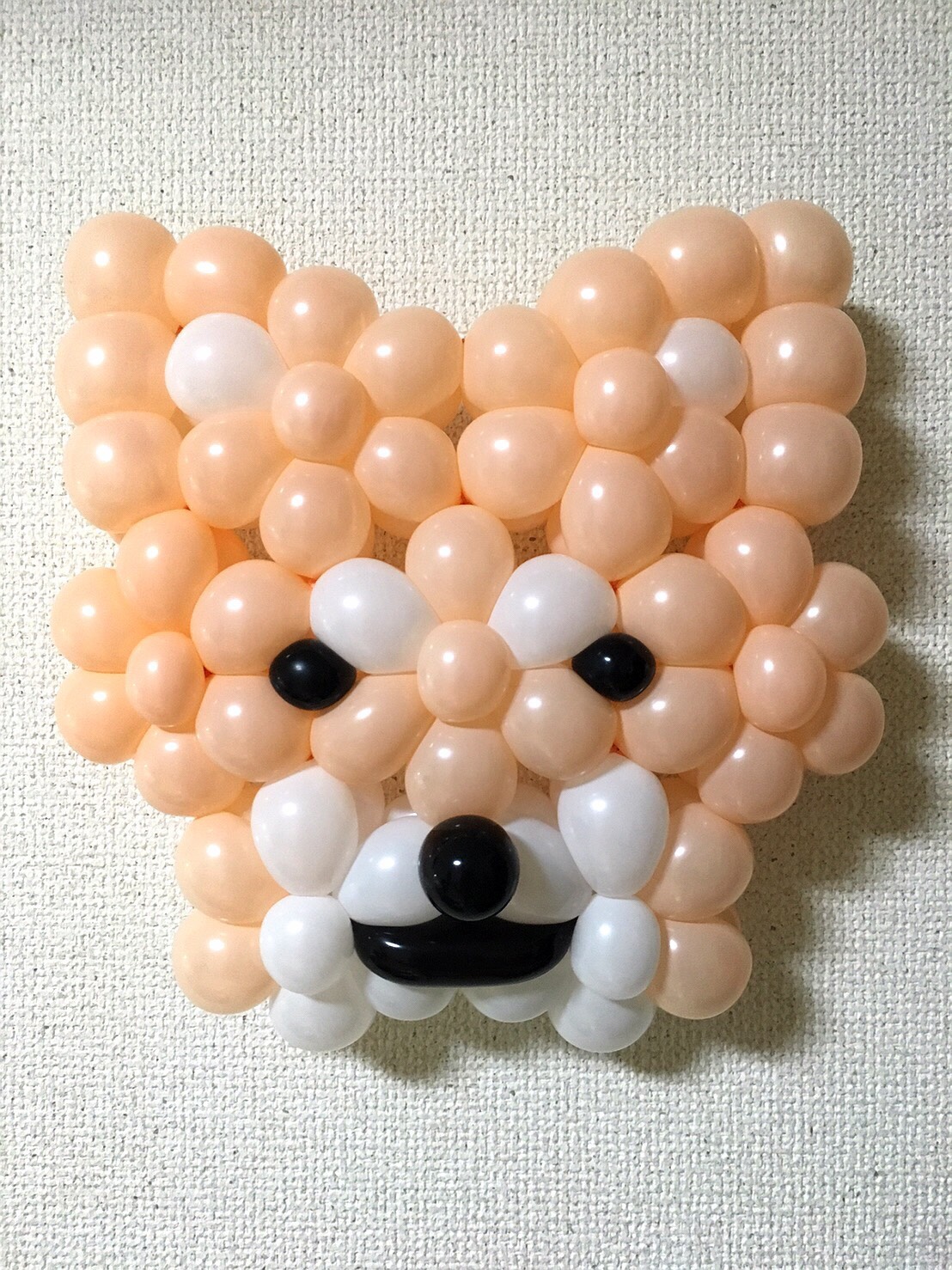 柴犬